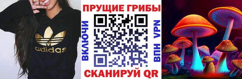 магазин    Магас  Псилоцибиновые грибы прущие грибы 