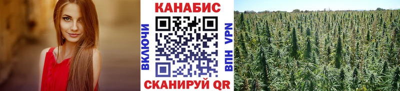 Марихуана тримм  Магас 